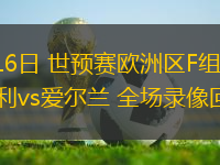 11月16日 世預賽歐洲區F組第6輪 匈牙利vs愛爾蘭 全場錄像回放