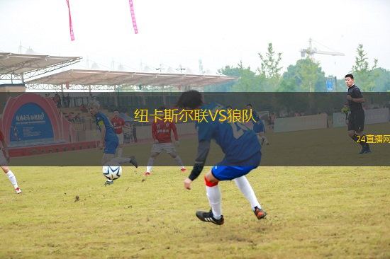 紐卡斯爾聯VS狼隊