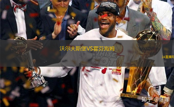 沃爾夫斯堡VS霍芬海姆